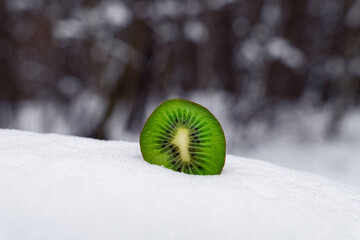 kiwi fruit on a snow