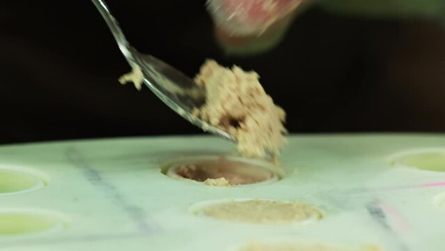 Experienced culinarian fills spheres of silicone mold with appetizing meat pate. Meticulous process of preparing molecular dish