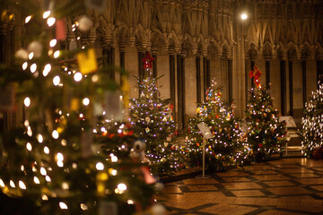 Christmas Tree Festival