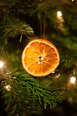 Christmas tree decoration dried orange