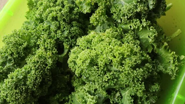 fresh organic kale collard greens in a bowl for preparing a delicious dish close-up