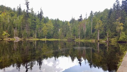 Obraz premium bavarian forest, lake, Rachelsee