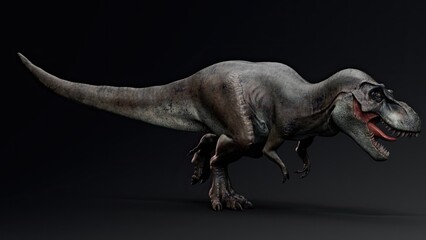 Obraz na płótnie Canvas Tyrannosaurus Rex Stan render of background. 3d rendering