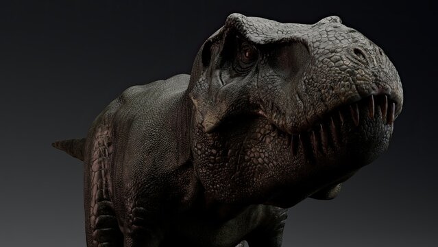 Tyrannosaurus Rex Stan render of background. 3d rendering