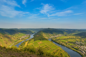 View of the Moselle loop from the steepest vineyard in Europe - Bremmer Calmont