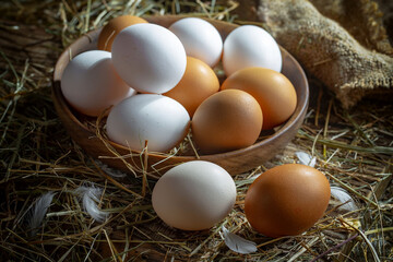 egg, food, eggs, chicken, easter, brown, basket, nest, white, isolated, fresh, straw, breakfast, nature, ingredient, hen, healthy, farm, raw, closeup, hay, protein, organic, group, natural