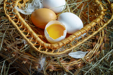 Fresh chicken eggs in a nest of dried grass blades. A tasty ingredient for preparing any healthy...