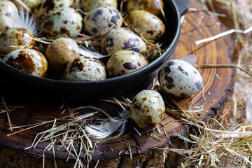 Quail eggs, raw, against the background of dry grass