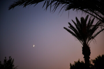 Turcja, tuż po zachodzie słońca, księżyc, palmy