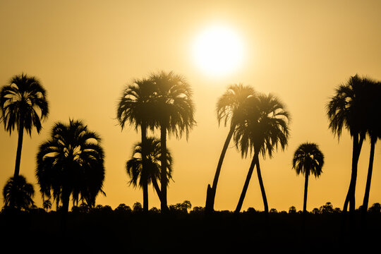 Atardecer en el Parque Nacional El Palmar, Entre R&iacute;os