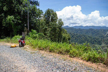 A motorcycle parked on the side of a gravel road overlooking a lush forest landscape
