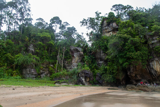 A lush green forest and rock formations along a sandy beach.