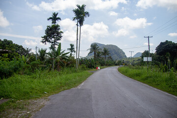 A serene road leading towards a lush hill surrounded by tropical vegetation