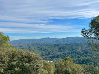 Collserola 