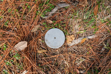 Overhead View of a Survey Marker placed in the Ground Amidst Decaying Plant Matter in Audubon Park...