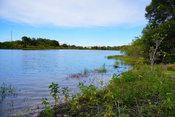 University of South Florida (USF) Botanic Garden	
