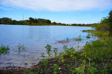 University of South Florida (USF) Botanic Garden