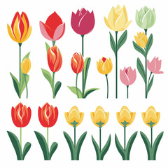Obraz premium vector collection of tulip flower