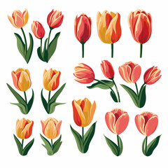 Fototapeta premium vector collection of tulip flowers