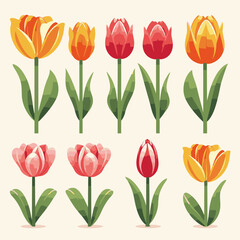 Obraz premium vector collection of tulip flower