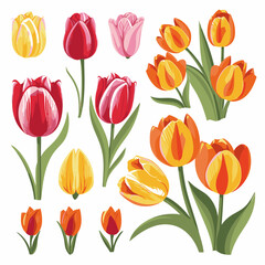 Obraz premium vector collection of tulip flowers