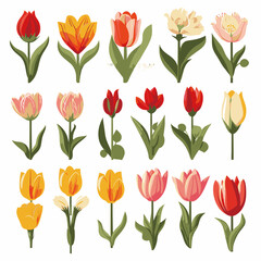 vector collection of tulip flower