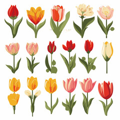 Fototapeta premium vector collection of tulip flower