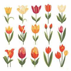 Obraz premium vector collection of tulip flower