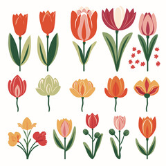 vector collection of tulip flowers - obrazy, fototapety, plakaty