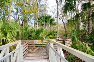 The winter landscape of Florida Trail and Hillsborough river	
