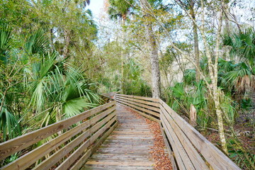 The winter landscape of Florida Trail	