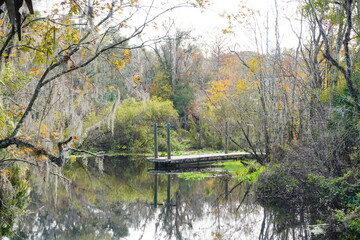 The winter landscape of Florida Trail
