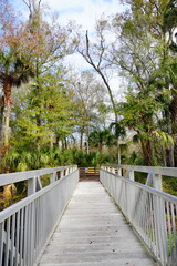 The winter landscape of Florida Trail	