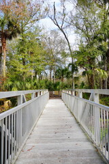 The winter landscape of Florida Trail
