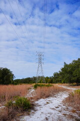 The winter landscape of Florida Trail
