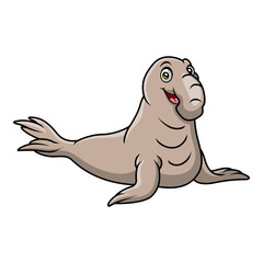 Cute bull elephant seal cartoon on white background
