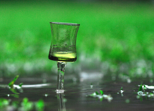 Close-up of a glass on a  waterlogged lawn, Argentina