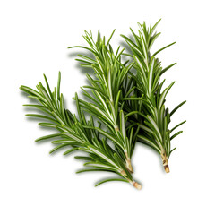 Fototapeta premium Rosemary isolated on transparent and white background, png