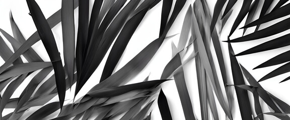 Enigmatic Tropic: Black and White Jungle Overlay with Lush Palm Fronds - Minimalist Paradise in Shadow and Sunlight, Blurred Silhouettes and Contrasts - Palm Leaves Background