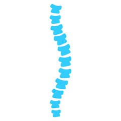 blue human spine