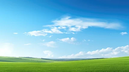 Gordijnen A vibrant green field under a clear blue sky © Artyom