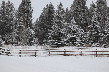 Wooden Fence Row in the Snow in the Country