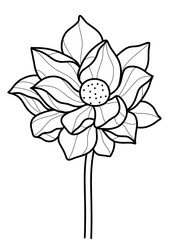 Black and White Aquatic Plant: Lotus Vector in Hand-Drawn Style