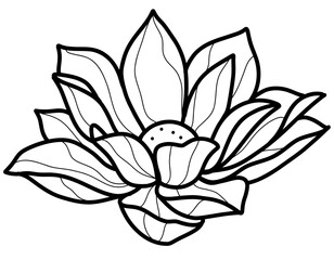 Black and White Aquatic Plant: Lotus Vector in Hand-Drawn Style