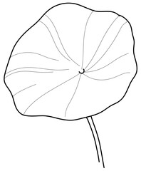 Black and White Aquatic Plant: Lotus Vector in Hand-Drawn Style