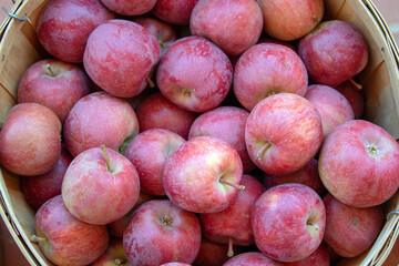 Basket of red apples at farmers market in Espanola New Mexico United States