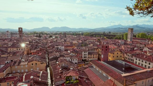 Lucca vista da torre Guinigi