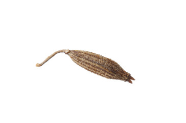 Aromatic caraway (Persian cumin) seed isolated on white