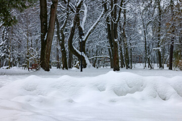 Heap of fluffy snow and trees in winter park