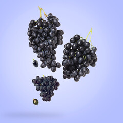 Fresh grapes in air on light blue background